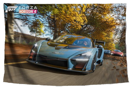 Látkový plagát / tapisérie Forza 153x60 cm 