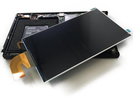 Nintendo Switch lite display LCD